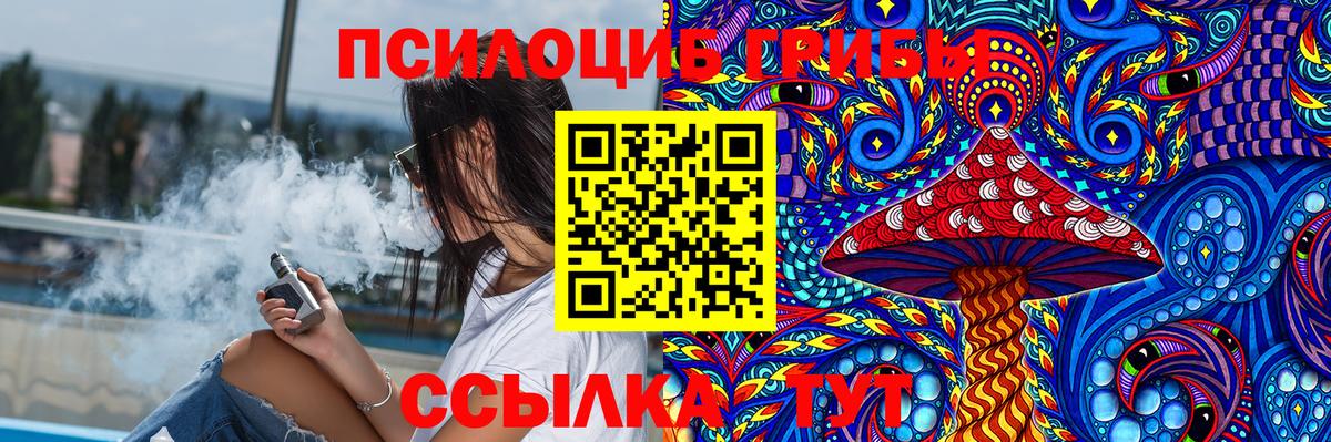 Новокубанск  Псилоцибиновые грибы Psilocybine cubensis  Вход с VPN 